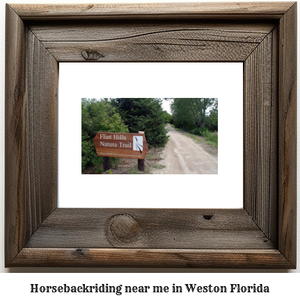 horseback riding near me in Weston, Florida